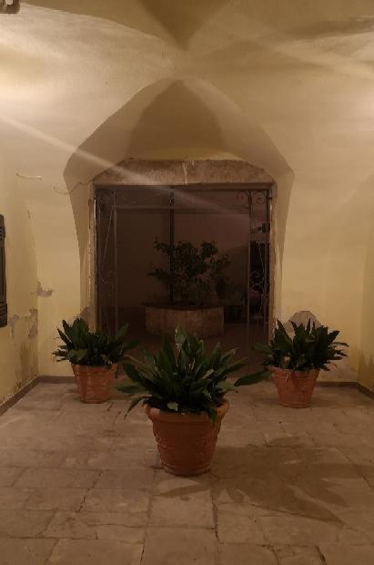 Les Maisons Coco Trani Ngoại thất bức ảnh